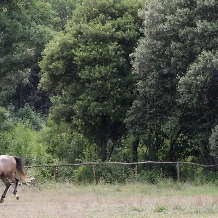 Affittacamere Danica