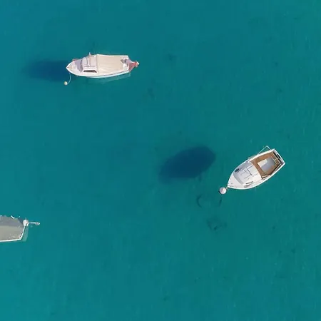 Affittacamere Danica Bale