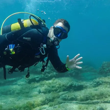 Affittacamere Danica Bale