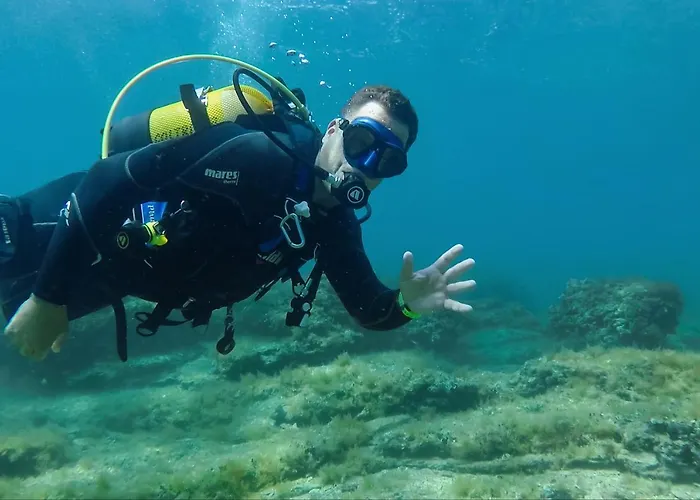 Gæstehus Danica Bale